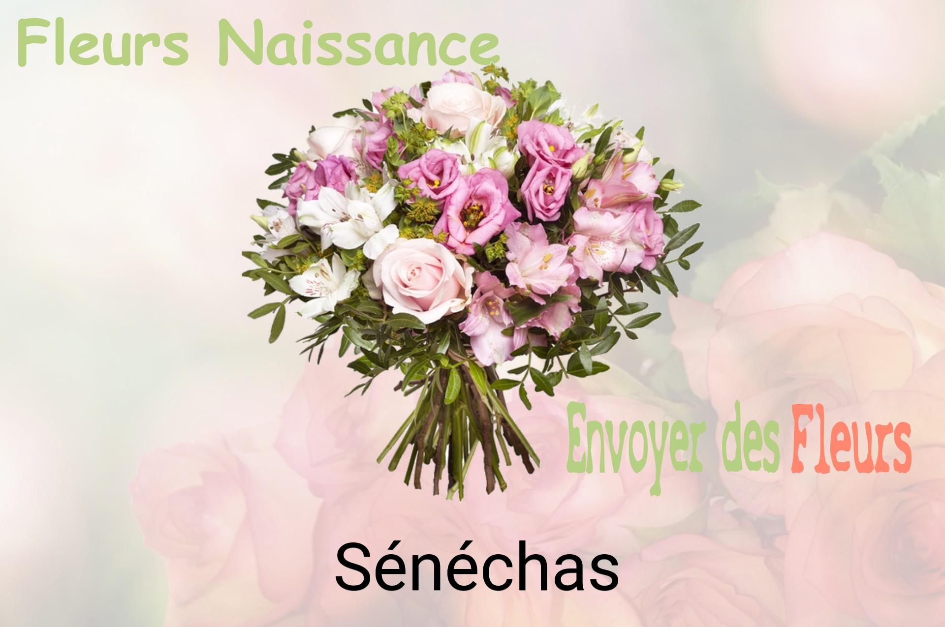 Bouquet de fleurs de naissance livré à Sénéchas